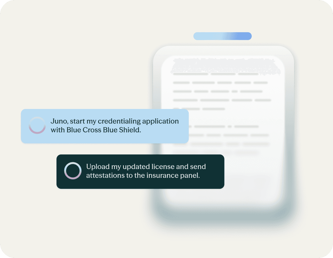 Credentialing and attestations interface