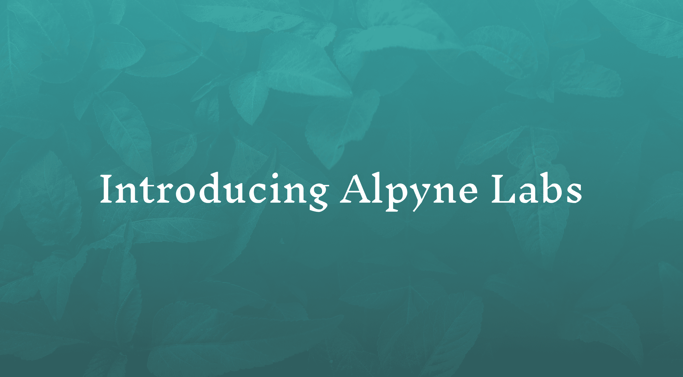 Introducing Alpyne Labs