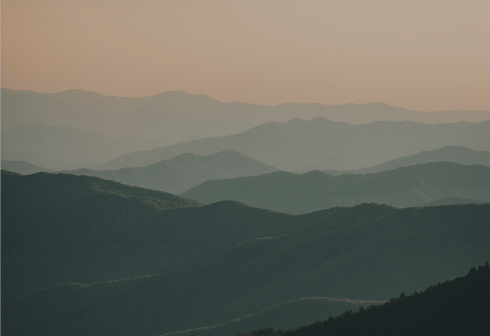 Alpyne Labs background